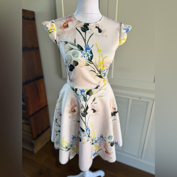 Ted Baker Karsali Elegance Scallop Skater Nude Pink Floral Cap Sleeve Dress 2 XS - Picture 8 of 16